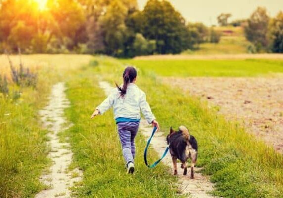 Dogs welcome (1)